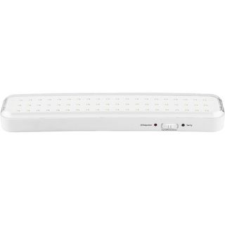 Светильник аккумуляторный DL4346 60LED AC/DC, белый 