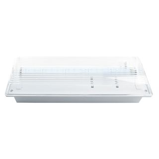 Светильник аварийный DL4357 20 LED AC/DC, белый 