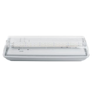 Светильник аварийный DL4356 20 LED AC/DC, белый 