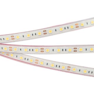 Светодиодная лента герметичная RTW-PFS-B60-13mm 12V Warm3000 (14.4 W/m, IP68, 5060, 5m)