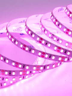 Cветодиодная лента Normal-C 2835 120Led 12V 9.6W IP20 Pink
