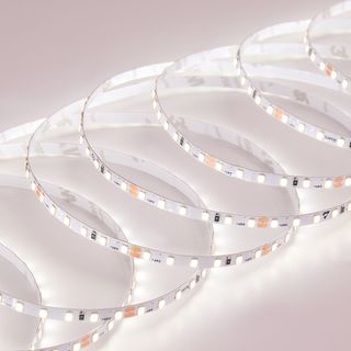 Светодиодная лента High-C DL-5mm 2835 120led 24V 9,6W IP20 Cool White