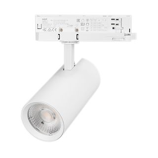 Светильник LGD-GERA-4TR-R74-20W Day4000 (WH, 55 deg, 230V) (Arlight, IP20 Металл, 5 лет)
