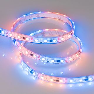 Светодиодная лента герметичная SPI-PFS-B60-12mm 12V RGB-PX3 (14.4W/m, IP68, 5060, 5m)