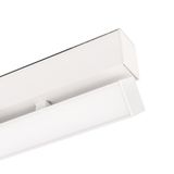 e_DL-12600-0336.jpg