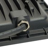 e_55069.jpg