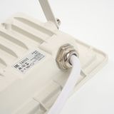 e_55073.jpg