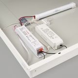 f_DL-04900-0006.jpg