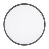 e_DL-14100-0065.jpg