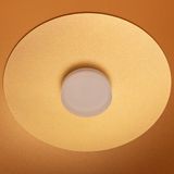 c_DL-12400-0505.jpg