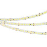 d_DL-06300-0098.jpg
