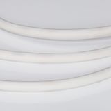 d_DL-06600-0007.jpg
