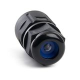 d_41920.jpg