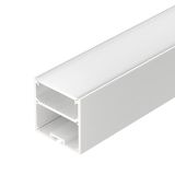 a_DL-01500-0431.jpg