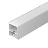 a_DL-01500-0308.jpg