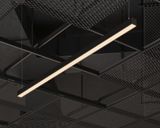 e_DL-05-0486.jpg