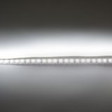 c_30902.jpg