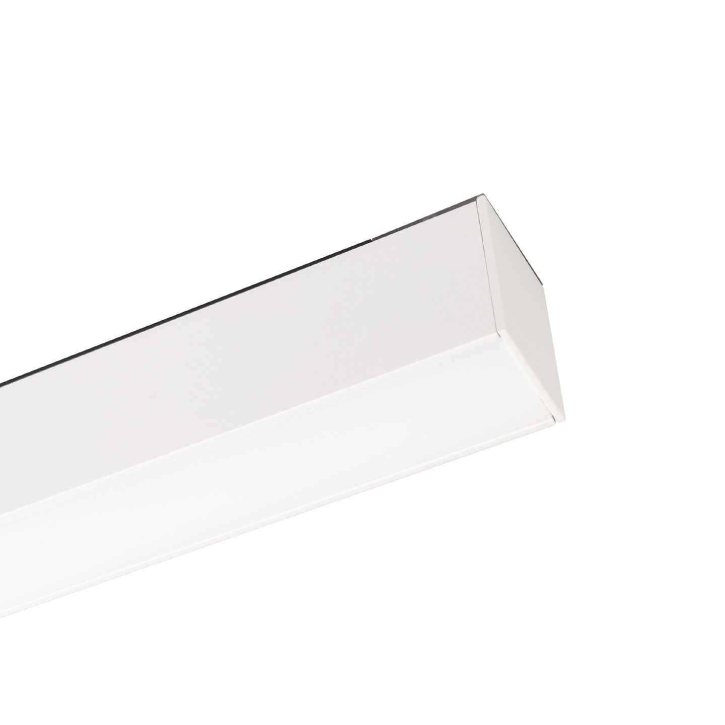 b_DL-12600-0311.jpg