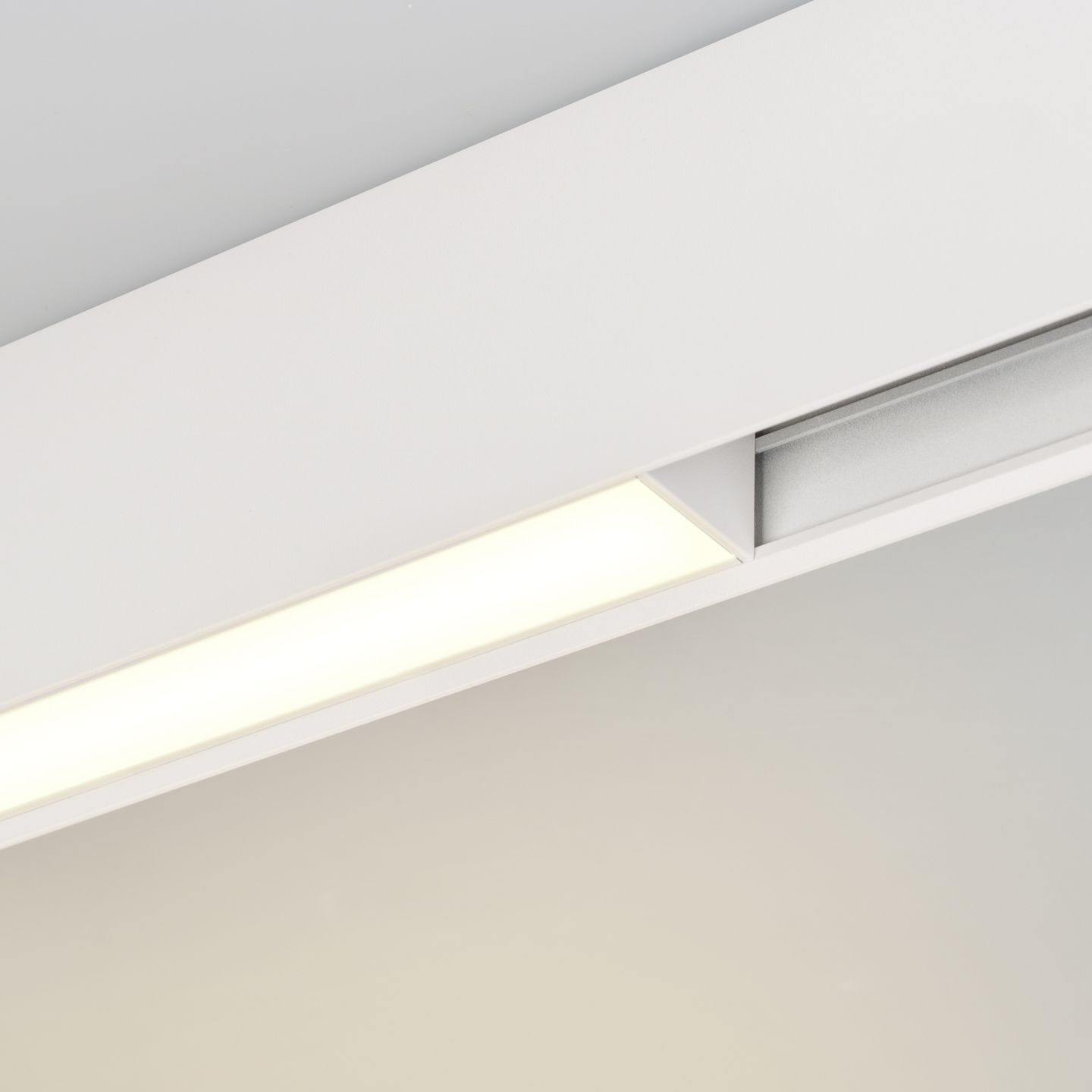 b_DL-12600-0307.jpg