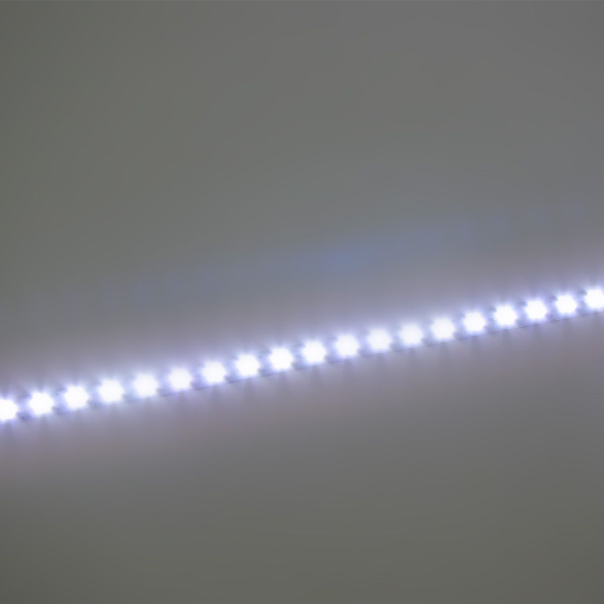 c_30079.jpg