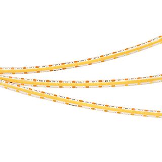 a_041709.jpg