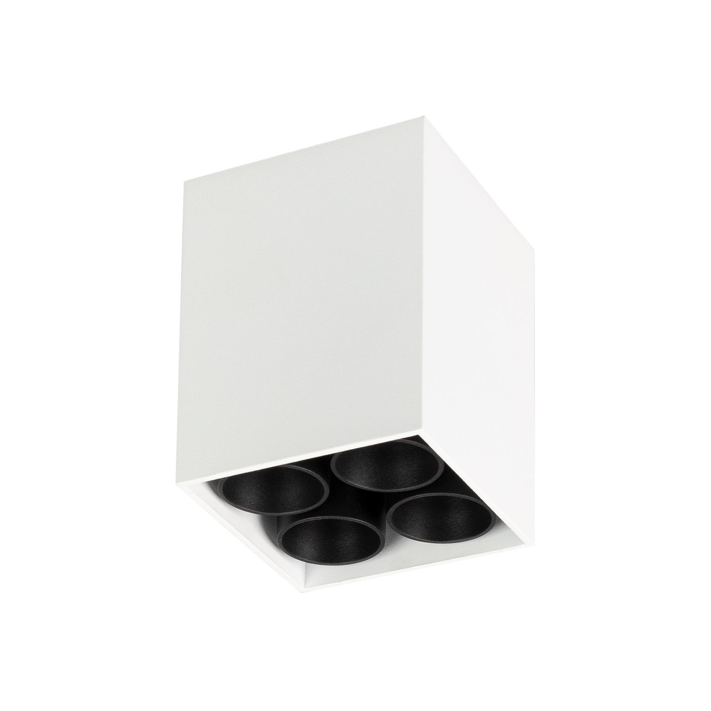 d_DL-12400-0369.jpg