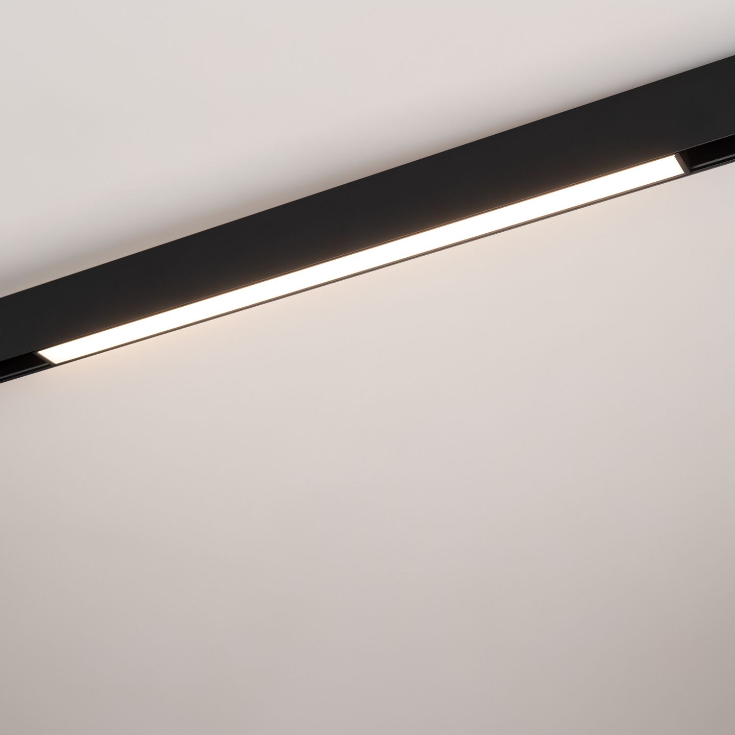 a_DL-12600-0497.jpg