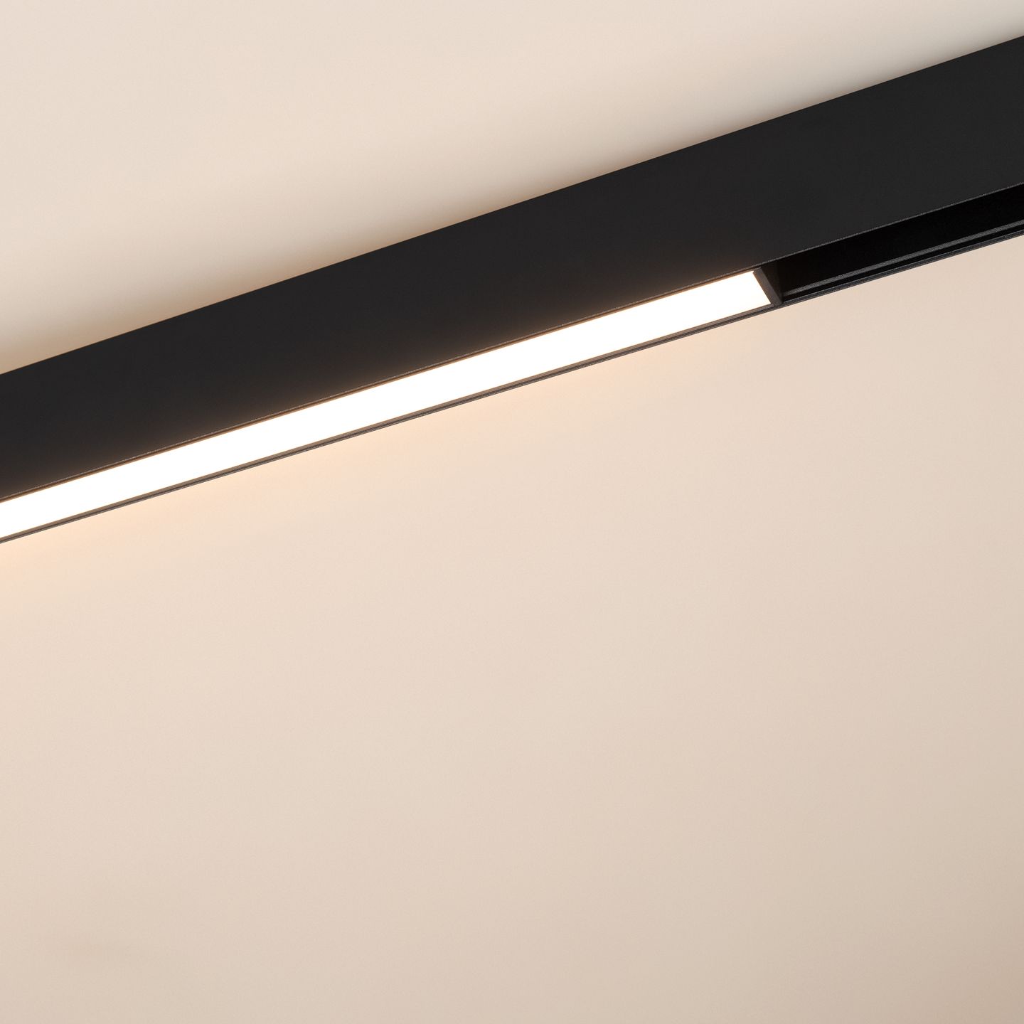 a_DL-12600-0484.jpg