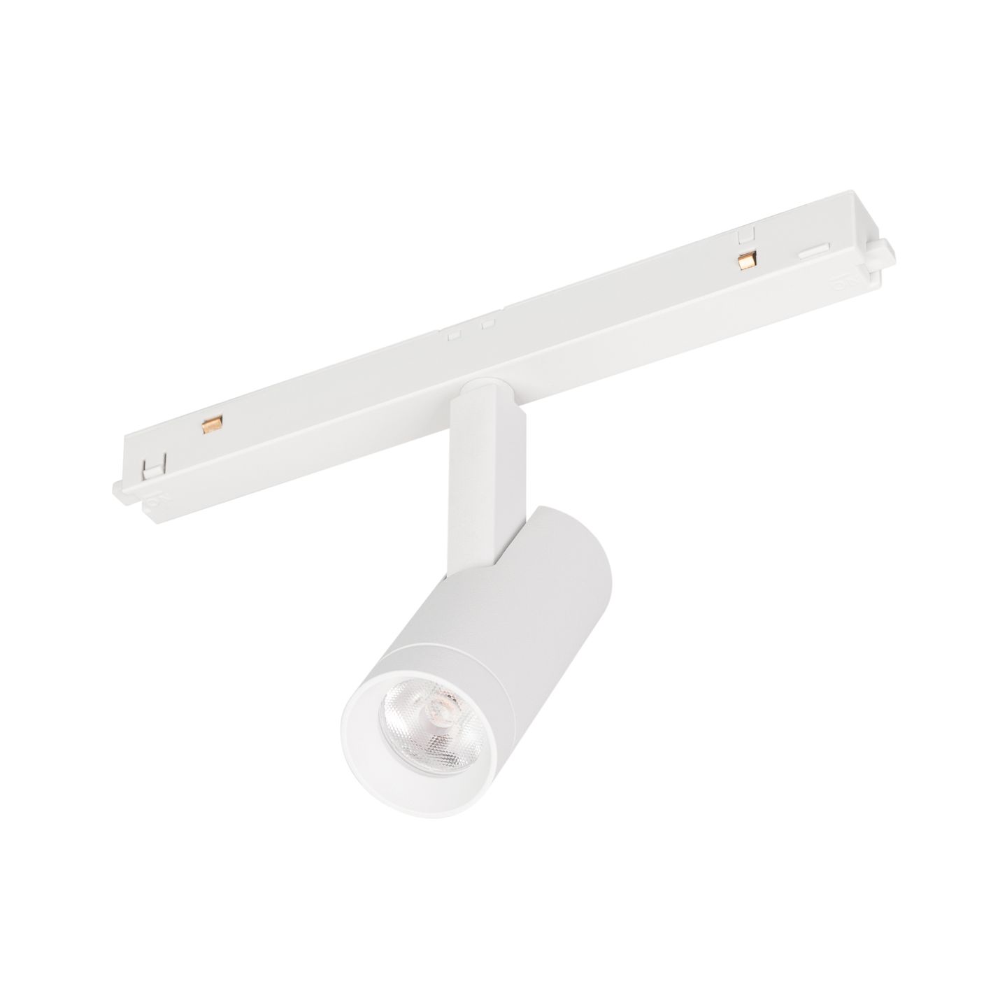 b_DL-12600-0619.jpg