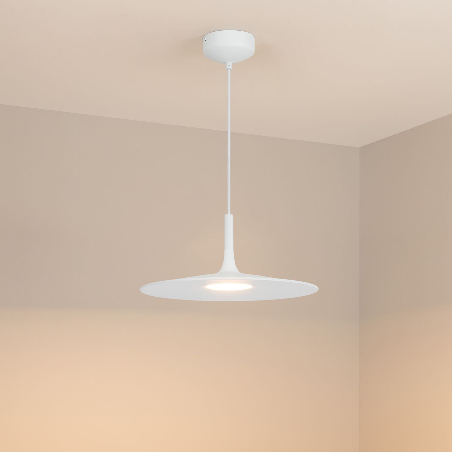 b_DL-12400-0186.jpg