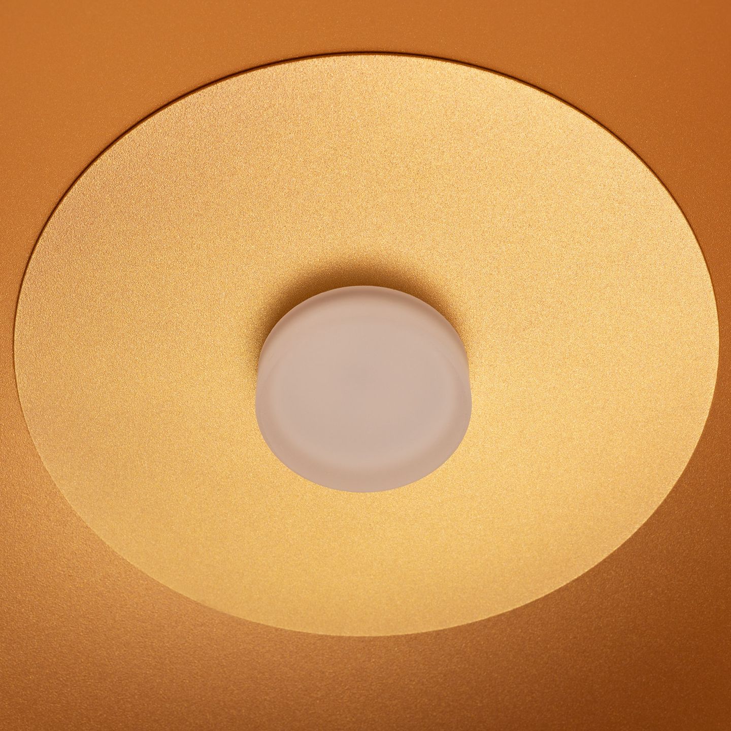 b_DL-12400-0503.jpg