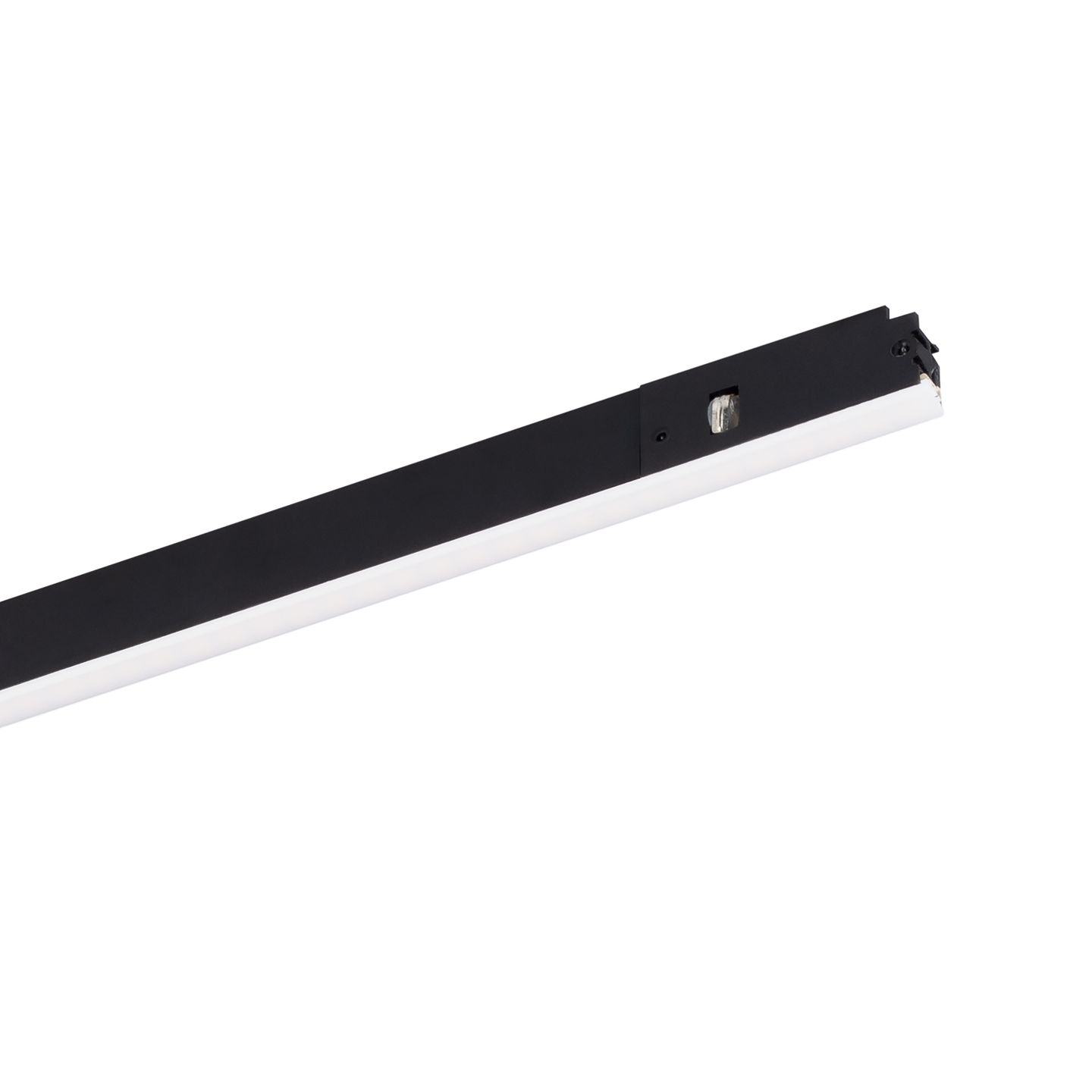 a_DL-12600-0425.jpg