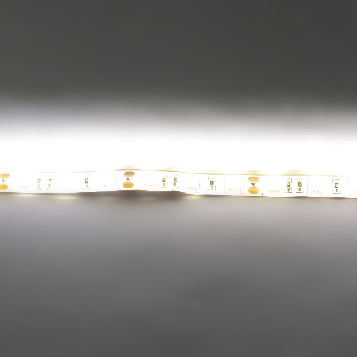 d_30908.jpg