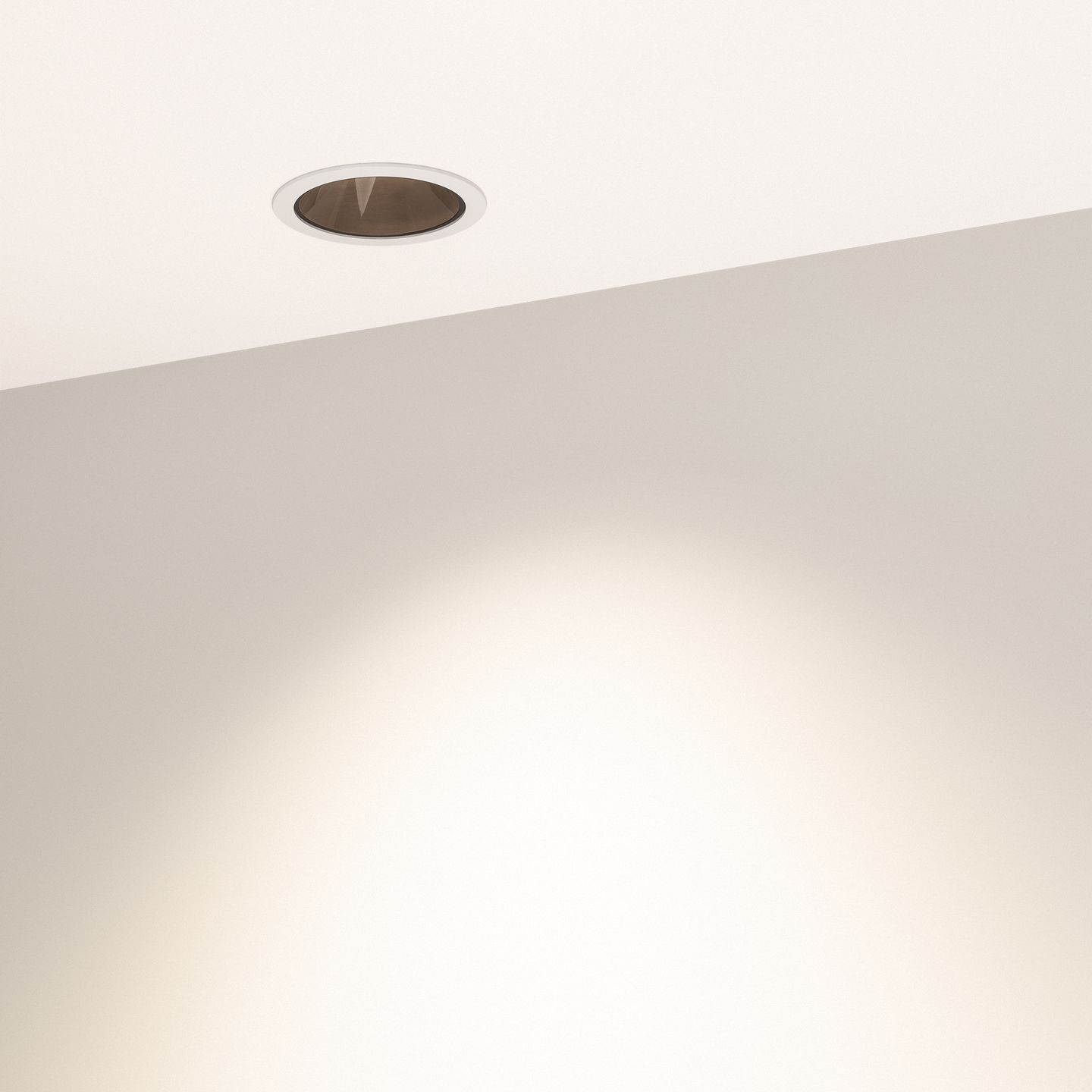 d_DL-04300-0101.jpg